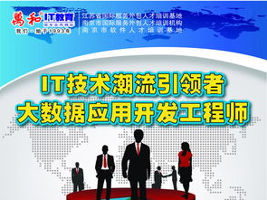 探索大数据世界 优质应用开发资源免费下载指南